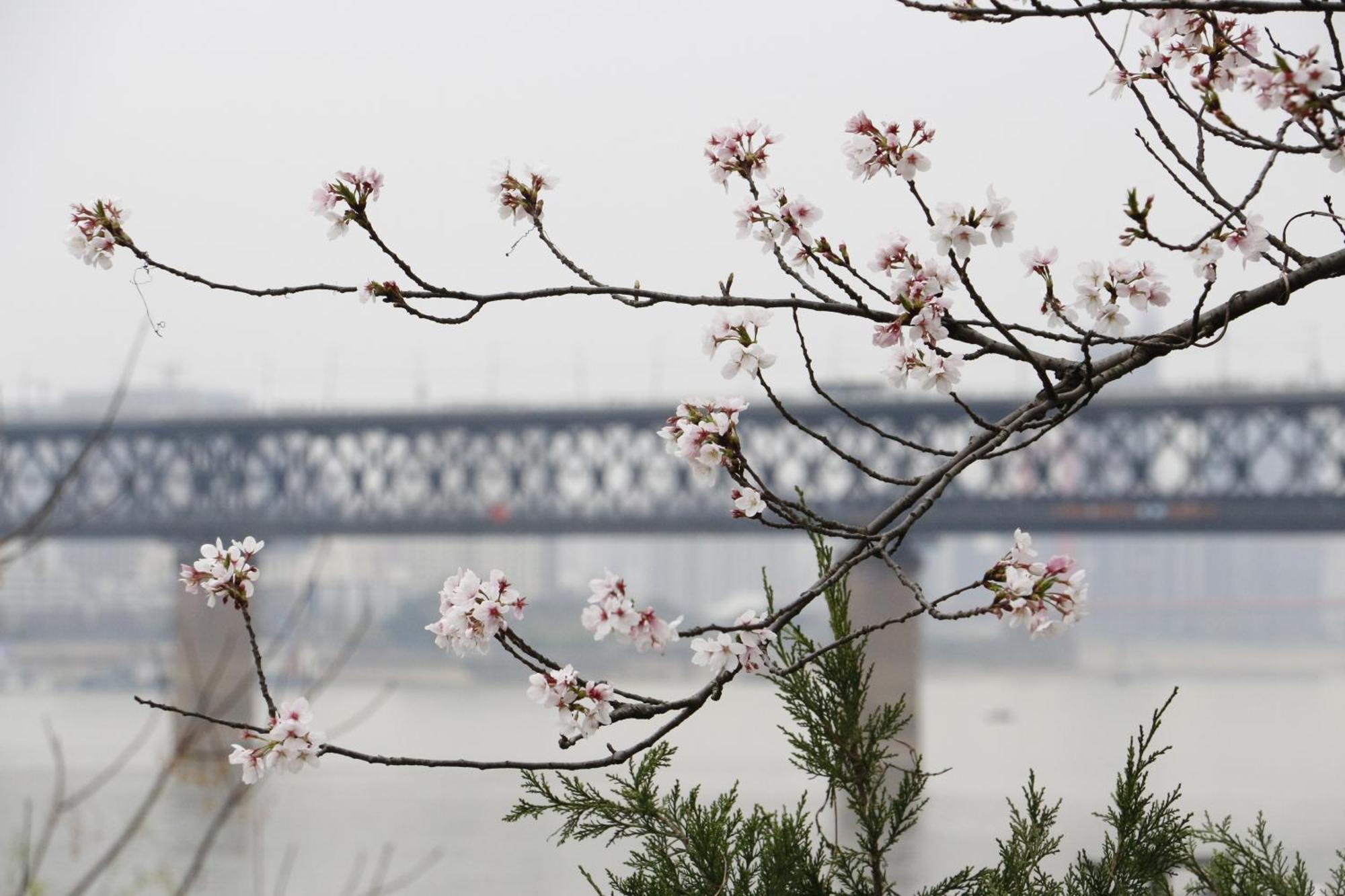 Holiday Inn Wuhan Riverside By Ihg Екстериор снимка
